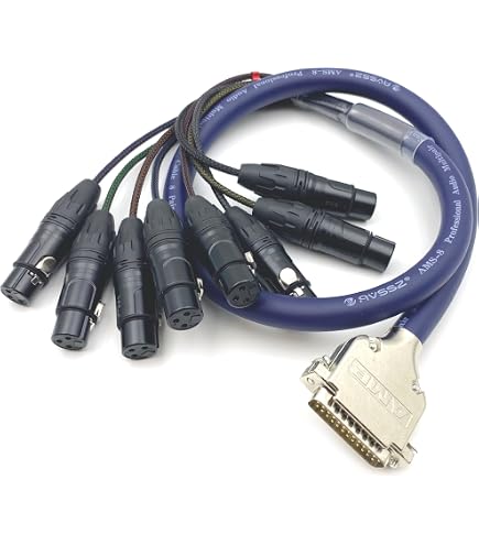 FOWIUNYE 3.28ft DB25 to XLR Female Snake Cable, DB25 Male to 8